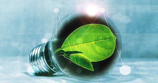 piro4d-lightbulb-2632075 (1).jpg