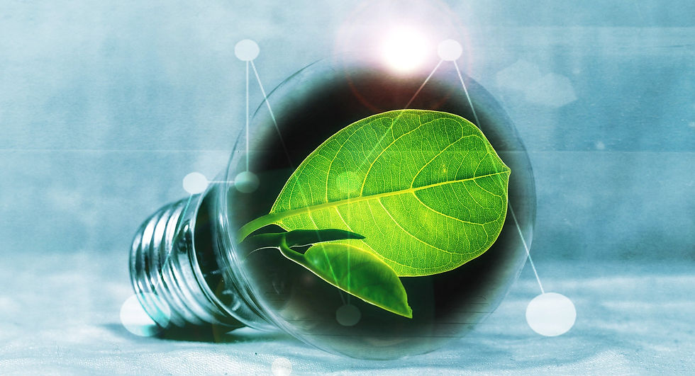 piro4d-lightbulb-2632075 (1).jpg