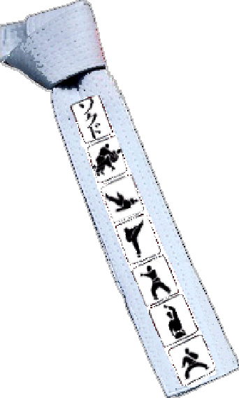 First Belt with badges