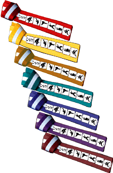 Junior Belt System