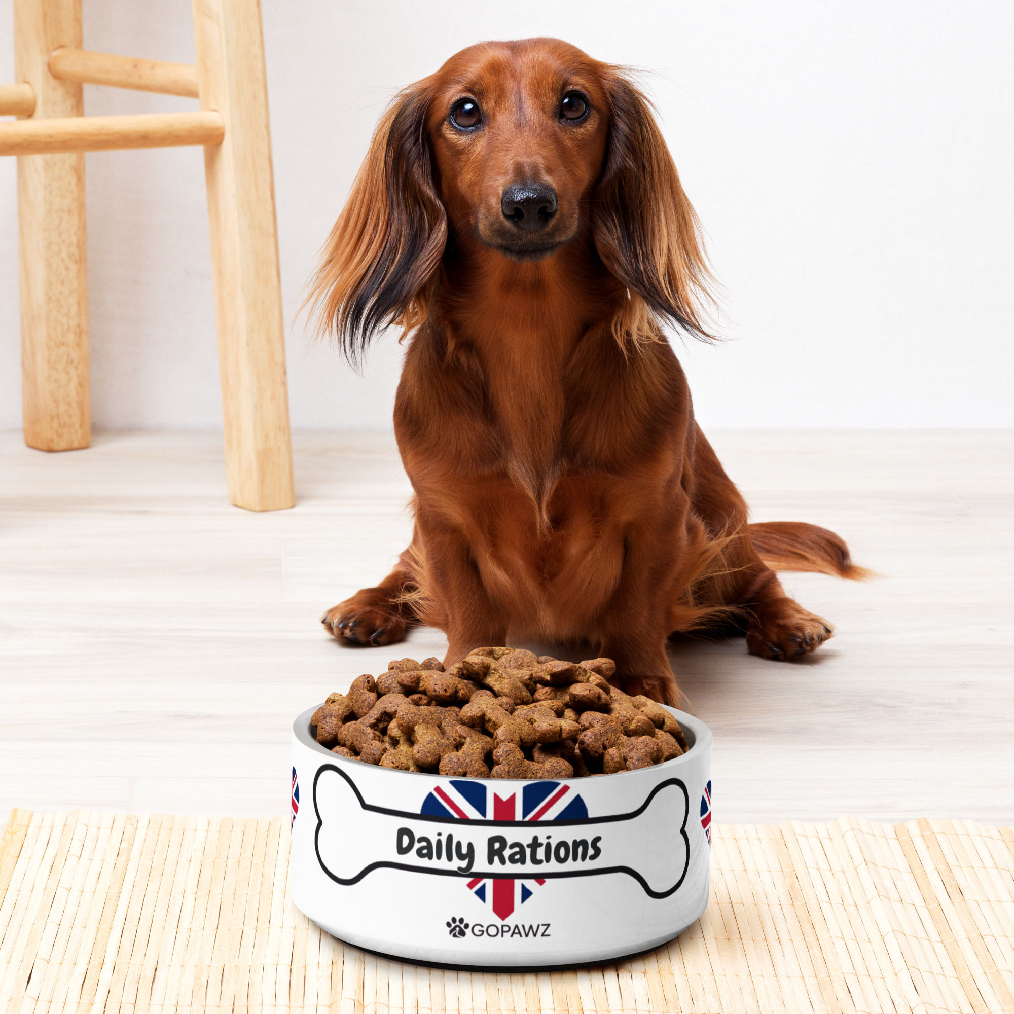 Pet Bowl | Daily Rations | 32oz