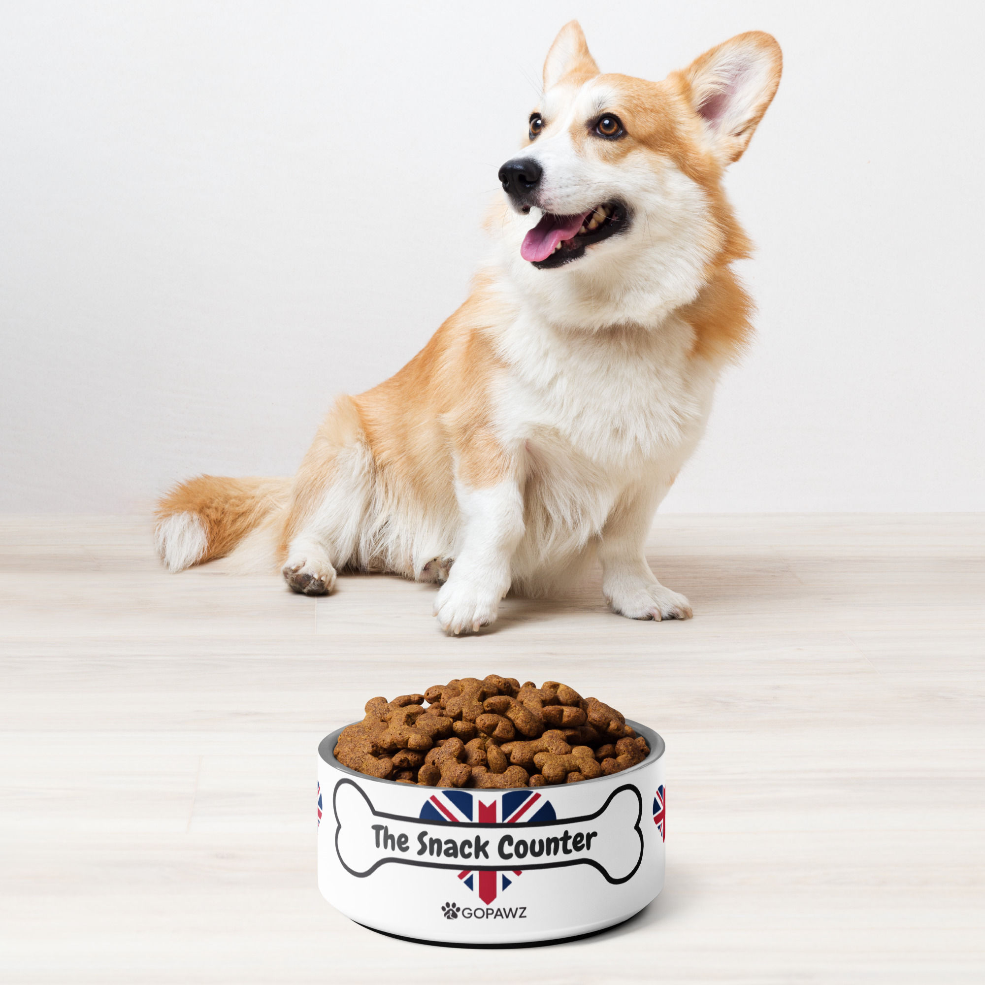 Pet Bowl | The Snack Counter | 32oz