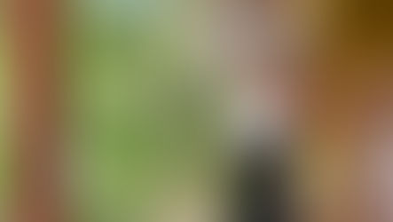 O que é Ashi-Waza e como ajuda nas dores na lombar