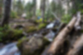 The ultra courses follow several streams. You may even see a waterfall or two!