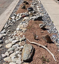 Western Slope Conservation Center