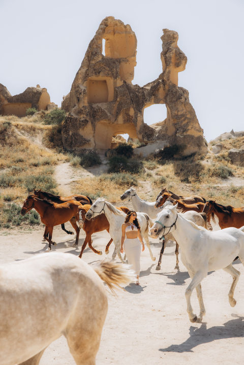 running horses in cappadocia