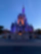 Walt Disney World vacation planning travel advisor