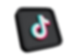 TikTok logo til LabubuOutfit.dk
