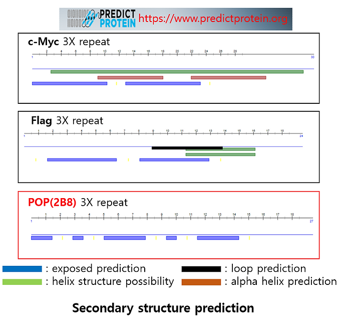 POP(2B8) Tag POP Tag Antibody Ab Epitope Protein