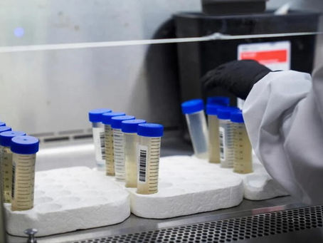 Detectan 100 casos de contagio de humanos a animales: cuáles son los riesgos, según la ciencia