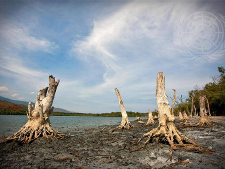 ONU tacha de "peligrosa" la falta de acción climática por parte de los gobiernos