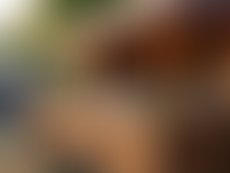 Lotus Bar Services Cambridgeshire: Elevate Your Event with a Mobile Bar