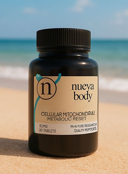 Untitled_Artwork (1).jpg