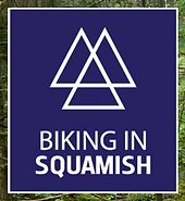 Screen Shot 2021-08-03 at 9.50.54 PM.png