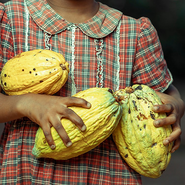 image of cheerful  african kid, with harvested cocoa.jpg