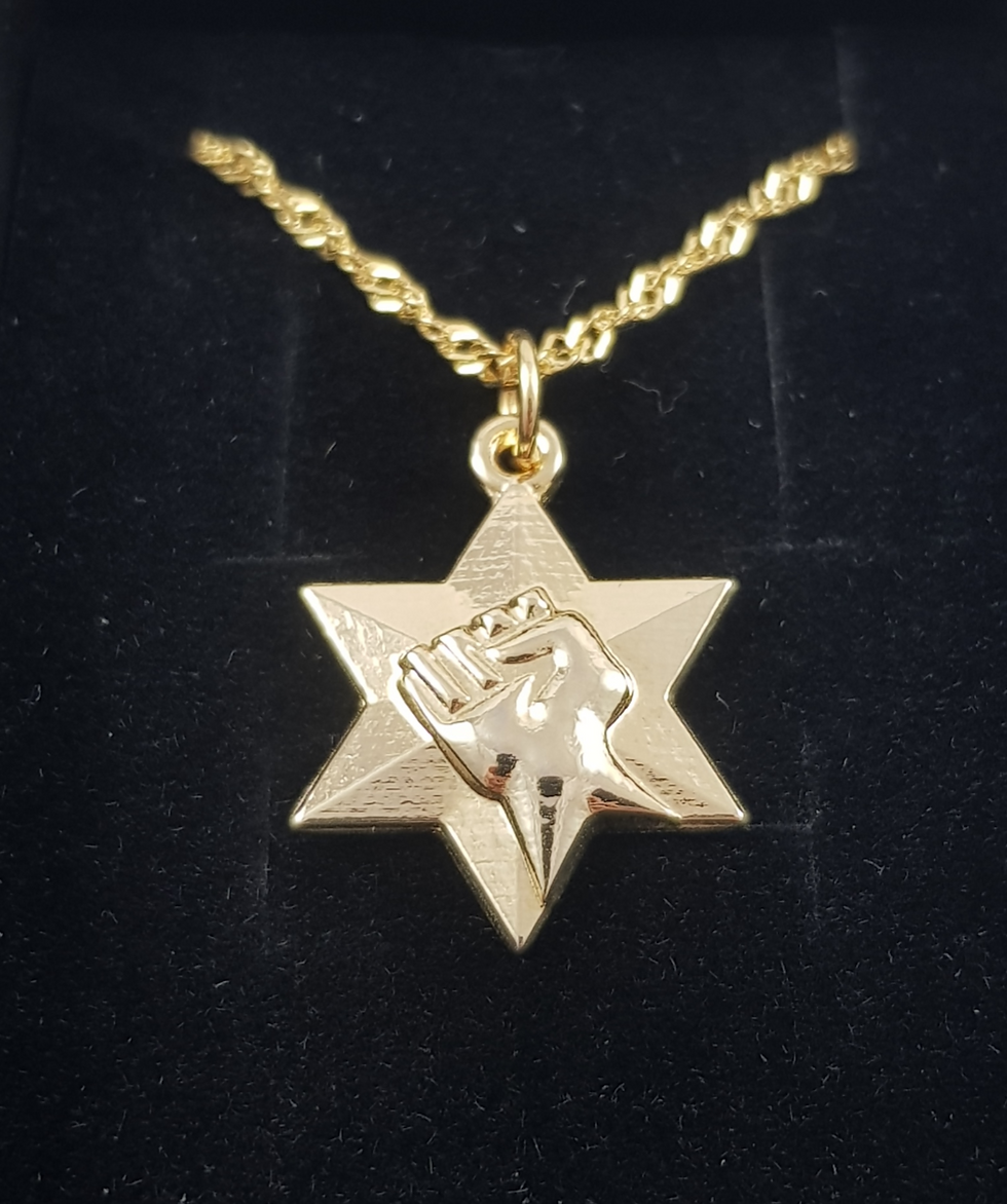 שרשרת מגן דוד הפנתרים ציפוי זהב 24 קראט