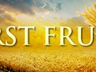 Newsletter for Catholics in Birkdale Our Lady of Lourdes, St Joseph, St Teresa of Avila + Ordinary Time Week 22 + Sundays Year B + Week Days Year II