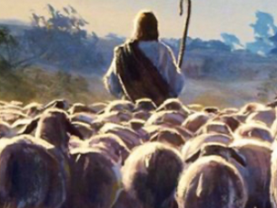 Newsletter for Catholics in Birkdale Our Lady of Lourdes, St Joseph, St Teresa of Avila + Fourth Sunday of Easter Vocations Sundays Year B + Week Days Year II