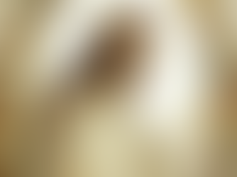 Newsletter for Catholics in Birkdale -  Our Lady of Lourdes, St Joseph, St Teresa of Avila  XVI Sunday in Ordinary Time, Sundays Year C + Week Days Year I 