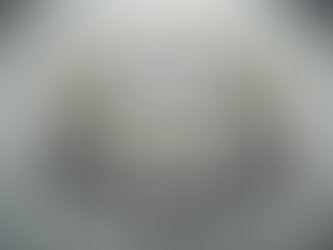 Newsletter for Catholics in Birkdale Our Lady of Lourdes, St Joseph, St Teresa of Avila  Feast of Christ the King XXXIV Week in Ordinary Time, 23 November 2025