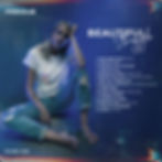 BACK-ALBUM-COVER