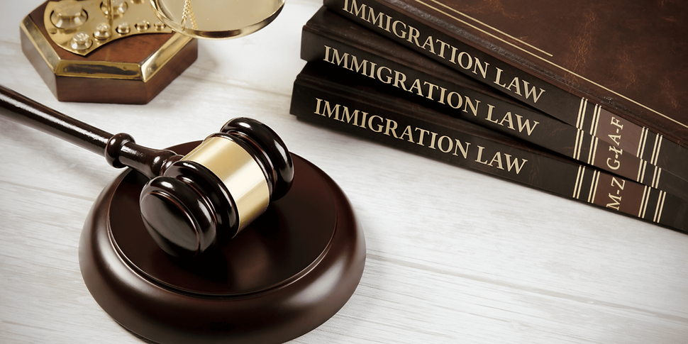 Immigration law