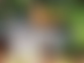 Create a DIY Winter Shelter