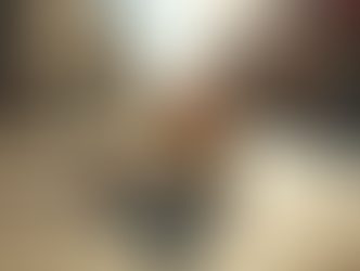 Why Community Cat Caretakers Are Essential