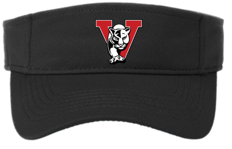Visor