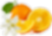 Orange Transparent.png
