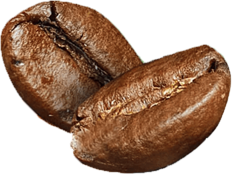 Coffee Beans Transparent_edited.png