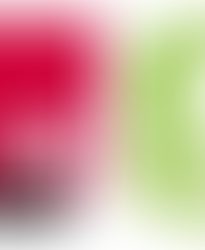 Radio-télévision : « Expression directe » en 2013