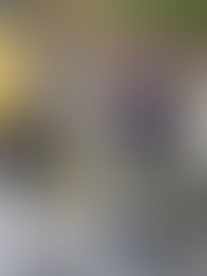 Poste et hôpitaux publics : des élections sans surprise