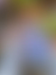 A Two Week Thailand trip