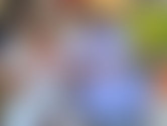 A Two Week Thailand trip