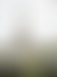 Going to the city of love, Paris!