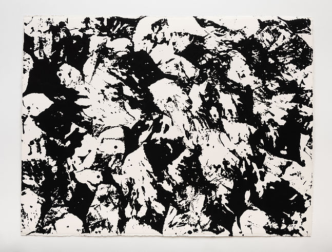 Amy 7-18-20251374.jpg