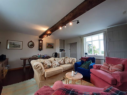 Living room Kat 2.jpg