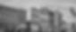 Georgetown 11.16_edited.jpg