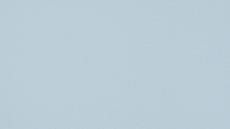 DLDF-BG-V1-07.png