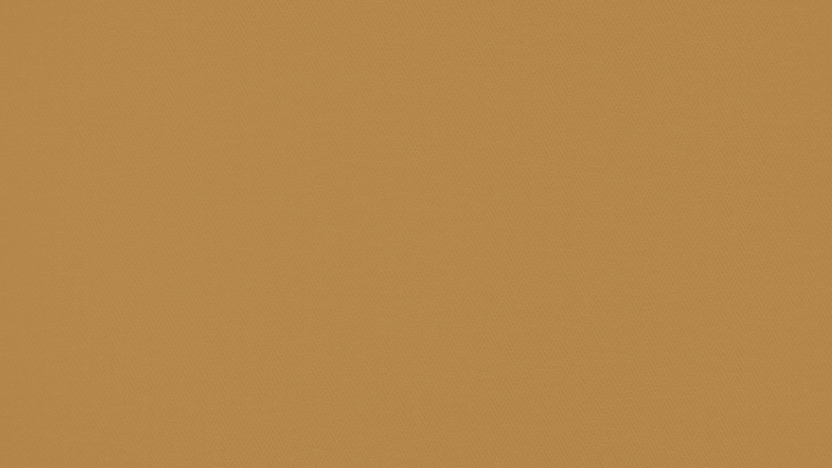 DLDF-BG-V1-05.png