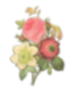 Flower Illustration Reverse