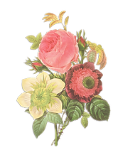 Fleur Illustration inversée