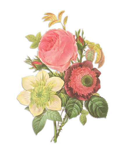 花のイラストリバース 