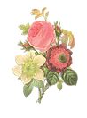 花のイラストリバース