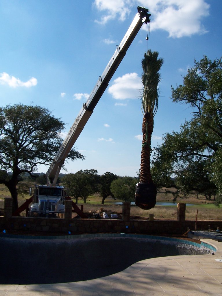 peggybackyardconstruction033.jpg