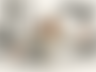 Rispa: A luta silenciosa pela dignidade dos filhos