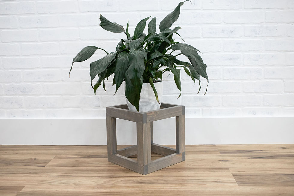 Thumbnail: Square Plant Stand