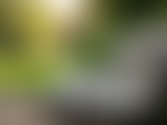 Embracing Life Through Wabi-Sabi Philosophy