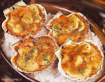 Coquille st-Jacques gratiné